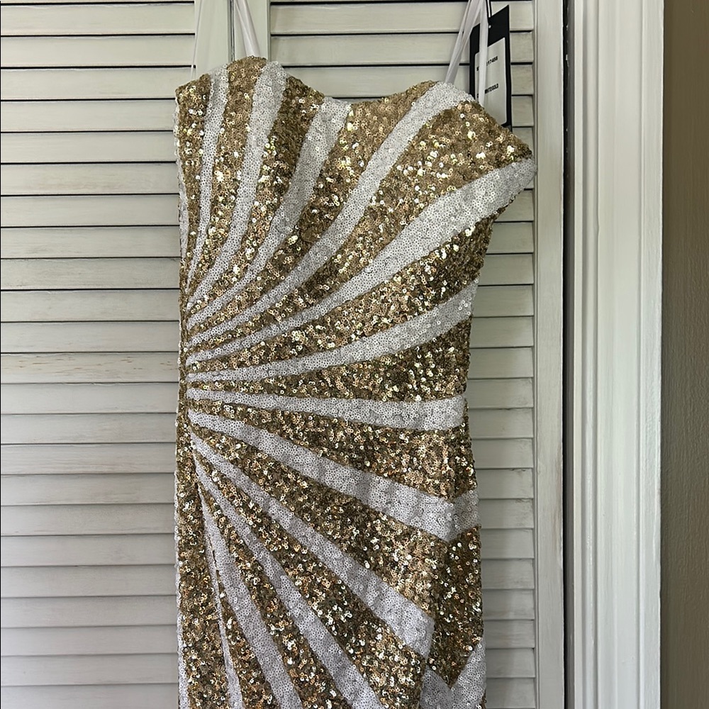 Gold and Silver Sequin Dress